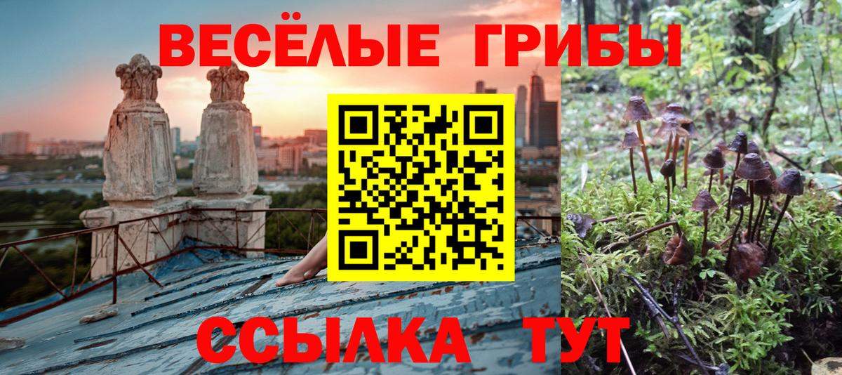 Алушта  Галлюциногенные грибы мицелий  что такое наркотик  Вход с VPN  Псилоцибиновые грибы прущие грибы 