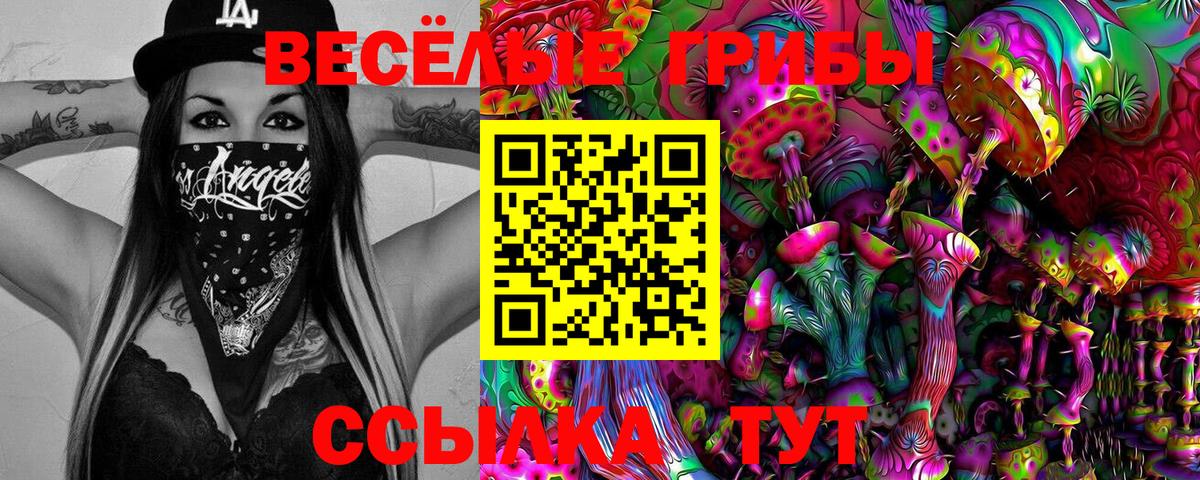 Псилоцибиновые грибы Cubensis Алушта